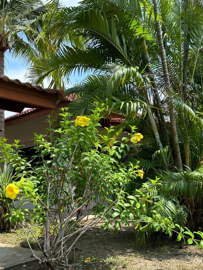 Samui Garden Resort Bang Rak Beach  Exterior photo