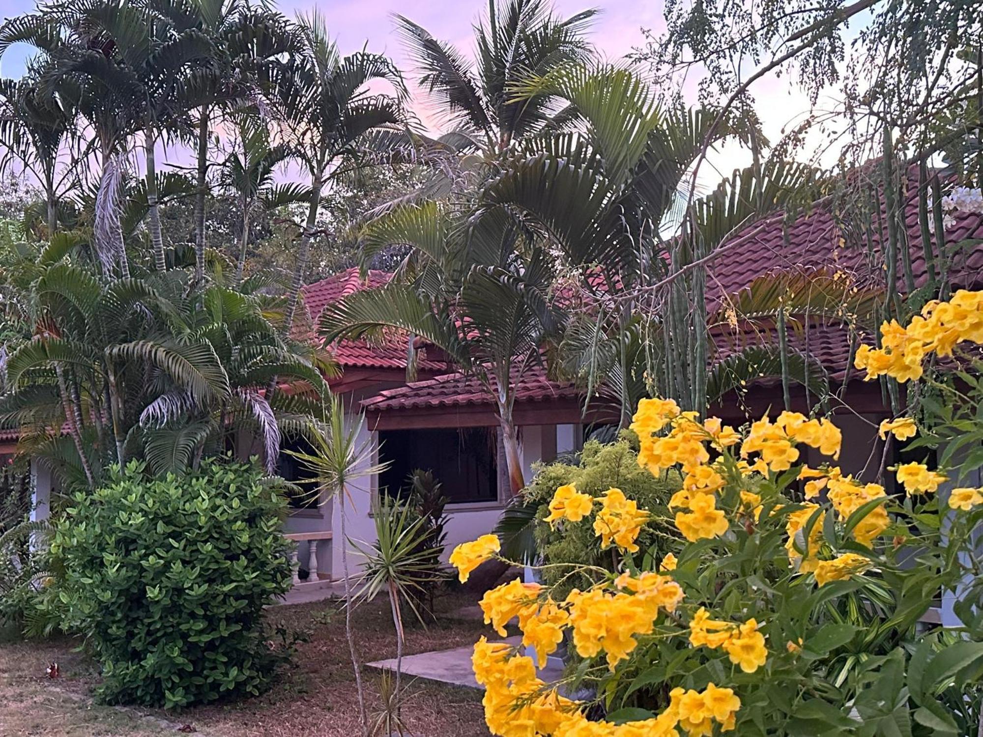Samui Garden Resort Bang Rak Beach  Exterior photo
